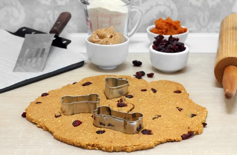 A picture containing table, plate, cranberry, pumpkin treat for pets