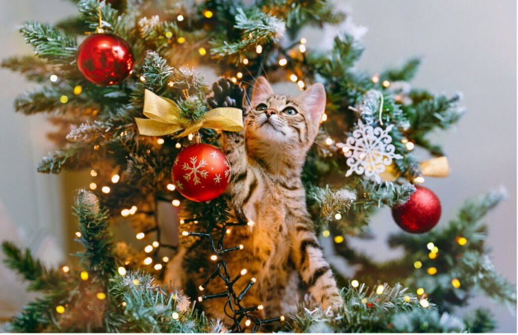 Playful kitten in a Christmas tree