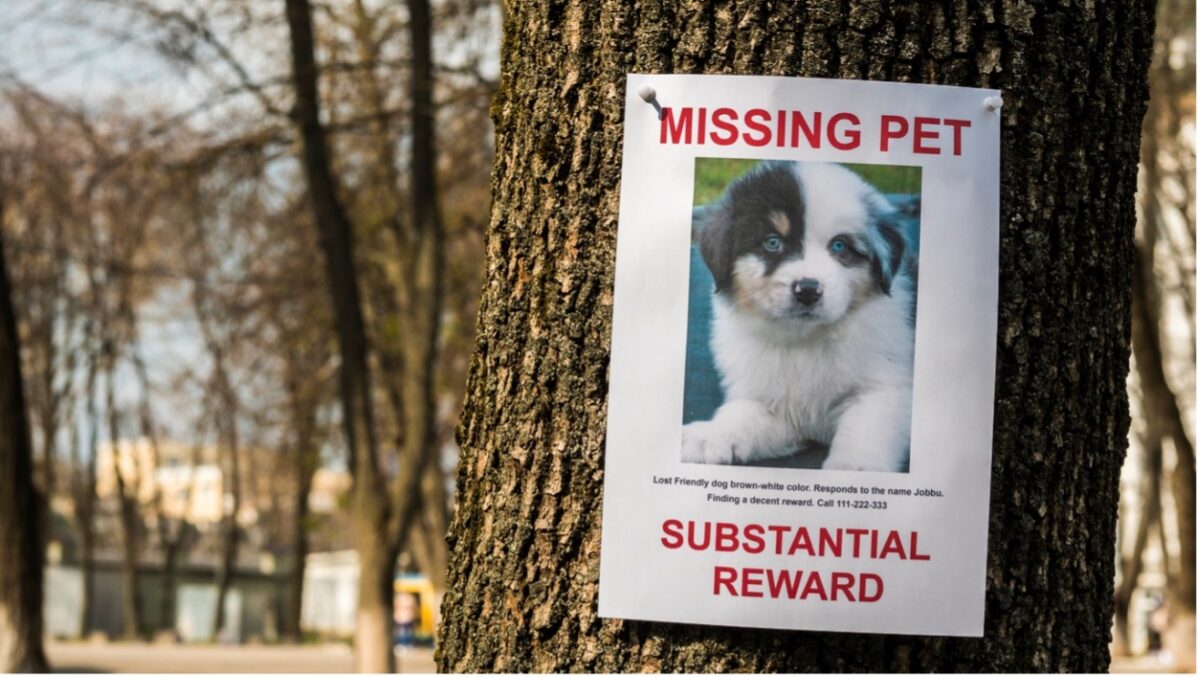 Missing pet sign