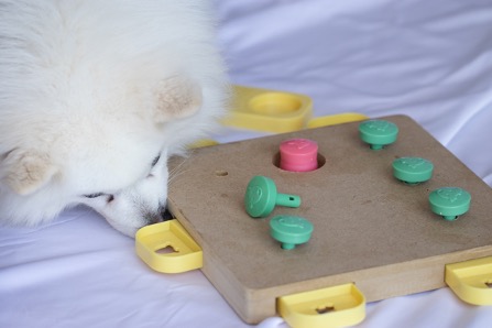 A dog playing with an interactive toy