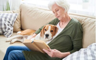 November is Senior Pet Month: An Ideal Time for Adopting a Senior Pet
