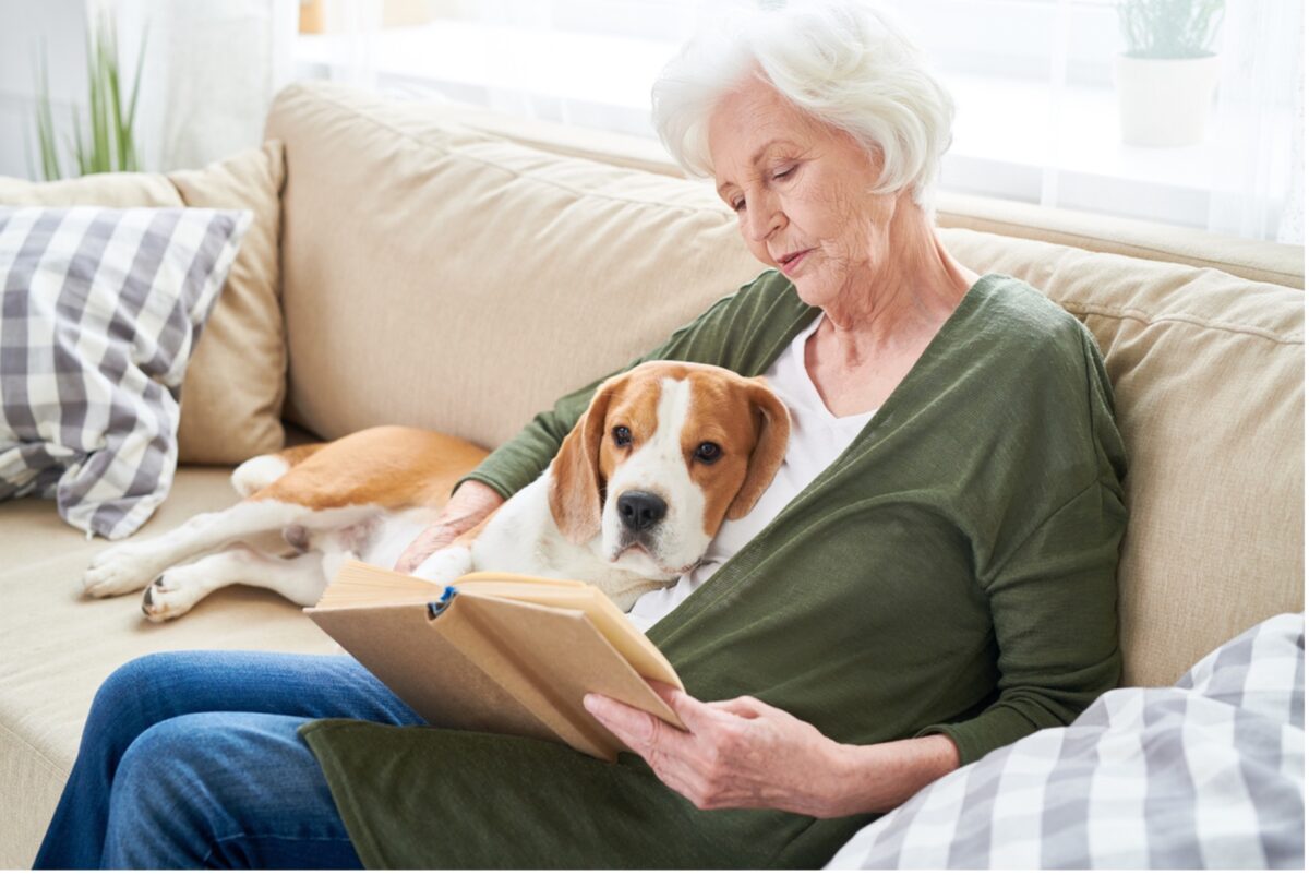 An elderly person reading a book with a dog, November is Senior Pet Month: An Ideal Time for Adopting a Senior Pet