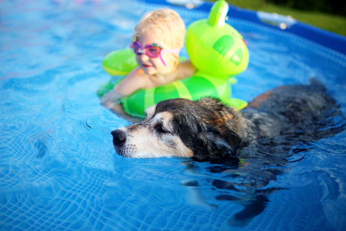 A dog in a pool with a baby in a float, Prevent Heatstroke in Pets and Farm Animals: Summer Tips from Hammond Veterinary Hospital