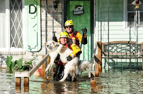 two first responders carrying a dog in flood waters, Pet Disaster Preparedness: Protecting Your Furry Friends