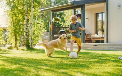 Keeping Your Pet Active: A Path to Health and Happiness