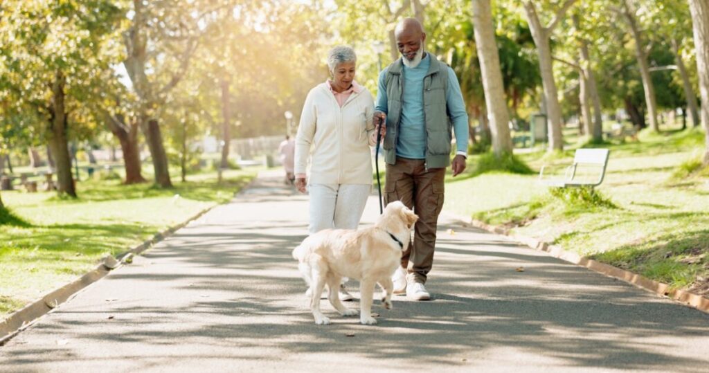 two people walking a dog, How Keeping Your Pet Active Improves Your Well-Being