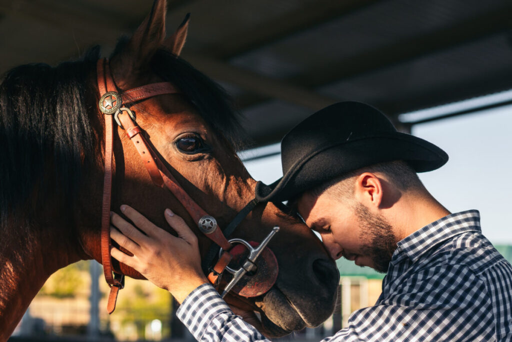 A person touching a horse, Understanding Your Pet’s Emotional Signals