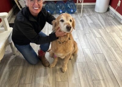 person kneeling next to an elderly dog